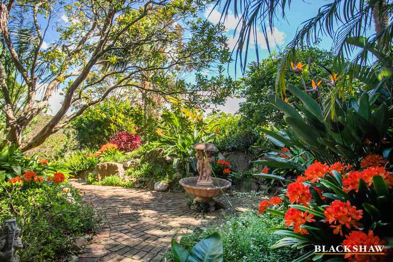 113 Vista Avenue Catalina