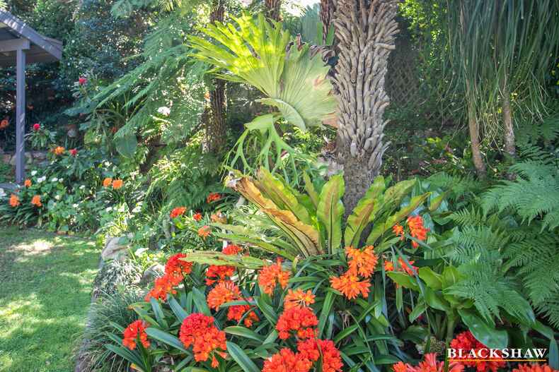 113 Vista Avenue Catalina