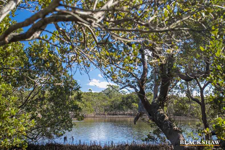 45 Annetts Parade Mossy Point