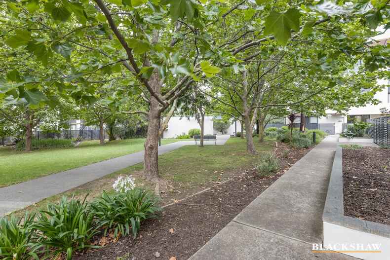 48/25 Wentworth Avenue Kingston