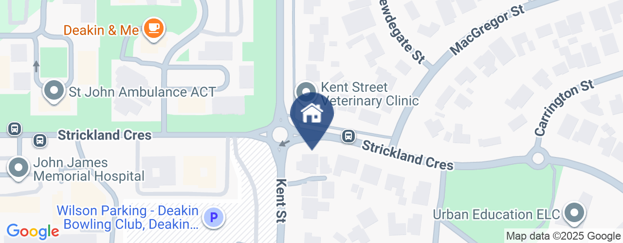 2/155 Strickland Avenue 2/155 Strickland Avenue